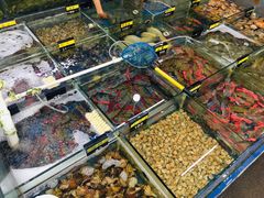 -明记海鲜大排档(巽寮湾店)