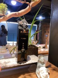 -川上陶艺社(大悦城店)