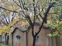 -开福禅寺