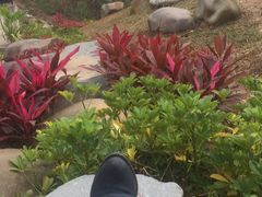 -火炉山森林公园