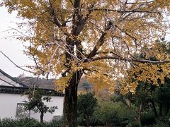 -雨花胜境