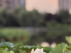 -木塔寺遗址生态公园