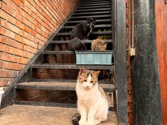-北京水岸山吧度假村(雁栖镇店)