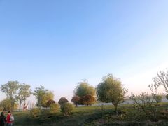 -郑东新区龙湖公共艺术中心