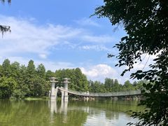 -东湖落雁景区
