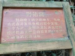 -牛鱼嘴原始生态风景区