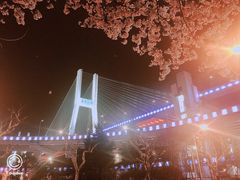 -上海南浦大桥长途旅游客运站