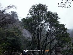 -雁荡山风景名胜区
