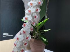 -北京植物园-展览温室