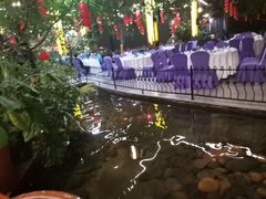 -九尊食上(生态园林酒店)