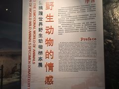 -深圳博物馆历史民俗馆