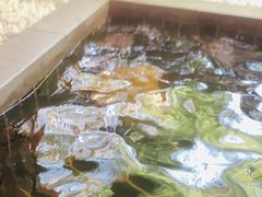 -盘锦红海温泉乐园