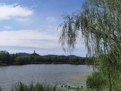 -北坞公园