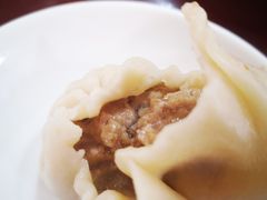 大肉灌汤包-东京包子楼(政七街店)
