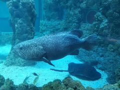 -海合安青岛极地海洋公园