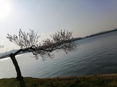 -石湖景区