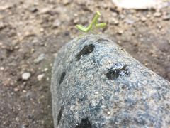 -碓臼峪自然风景区