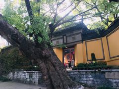 -无锡惠山寺