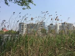 -美兰湖景区