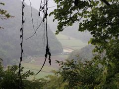 -沧源崖画
