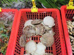 鲜活大元贝-79号渔船海鲜饭店(华强北店)