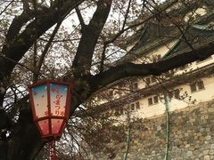 -名古屋城