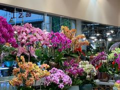 -双季花艺园艺市场(浦东店)