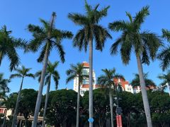 -厦门大学(思明校区)