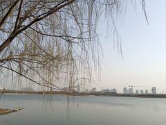 -水西公园