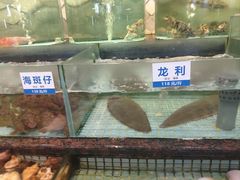 -新海利海鲜城·41年珠海老字号(夏湾店)