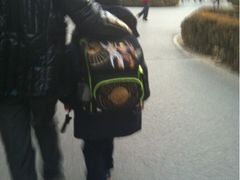 -北京市海淀外国语实验学校