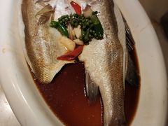 -绿茶餐厅(西单老佛爷店)