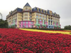 -百万葵园