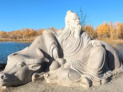 -金塔沙漠胡杨林景区