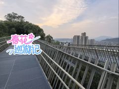 -福道