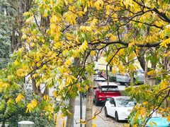 -浙江大学(紫金港校区)