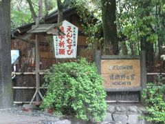 -野宫神社