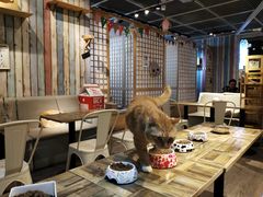 -小时光咖啡馆(开森度假森林店)
