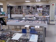 -潘多拉眼镜·蔡司依视路明月(潘家园店)