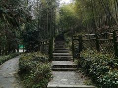 -潜山国家森林公园