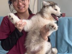 -德元·美联众合24小时动物医院(总院)