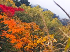 -硗碛藏寨·神木垒景区