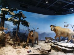 -陕西自然博物馆