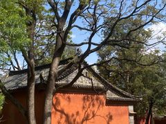 -建水文庙