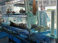 -海月湾海景餐厅( 嵊泗本地老字号店)
