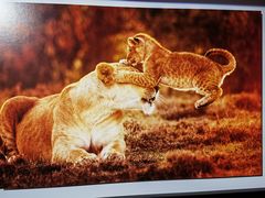 -罗红摄影艺术馆