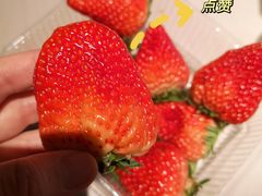 -道里菜市场
