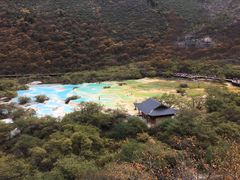 -黄龙山原始森林景区