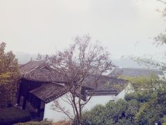 -帐篷客·溪龙茶谷度假酒店