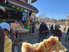 -眼镜粑粑
